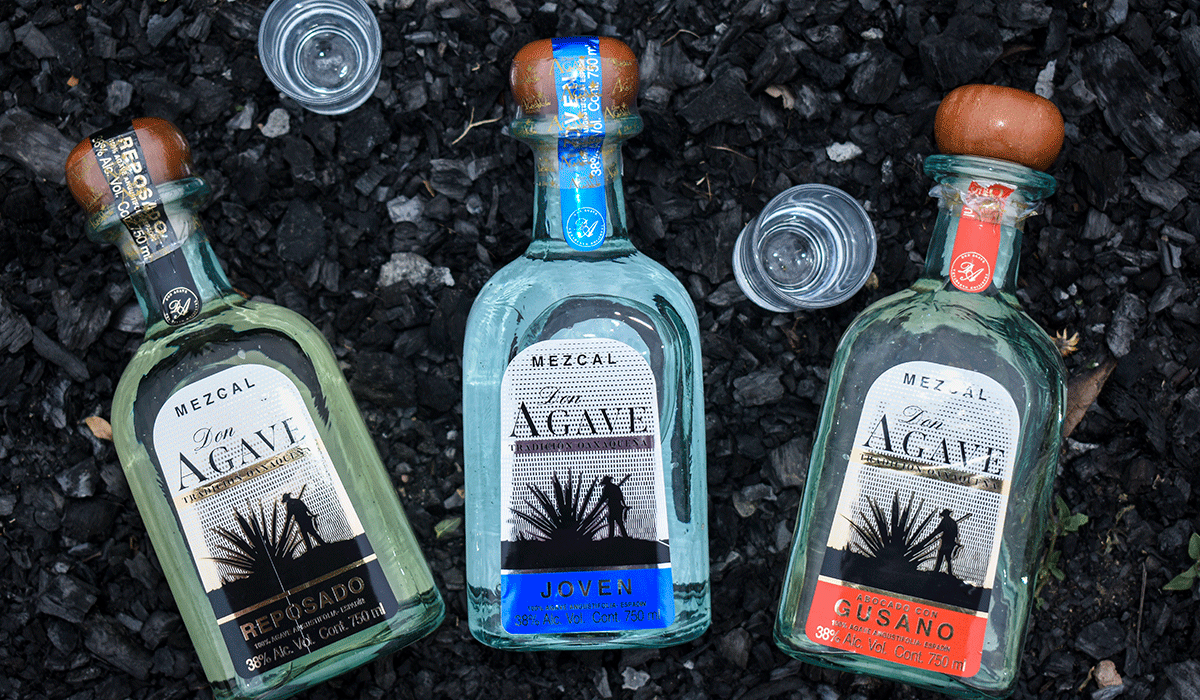 donagave-slider_0001_DSC_1120