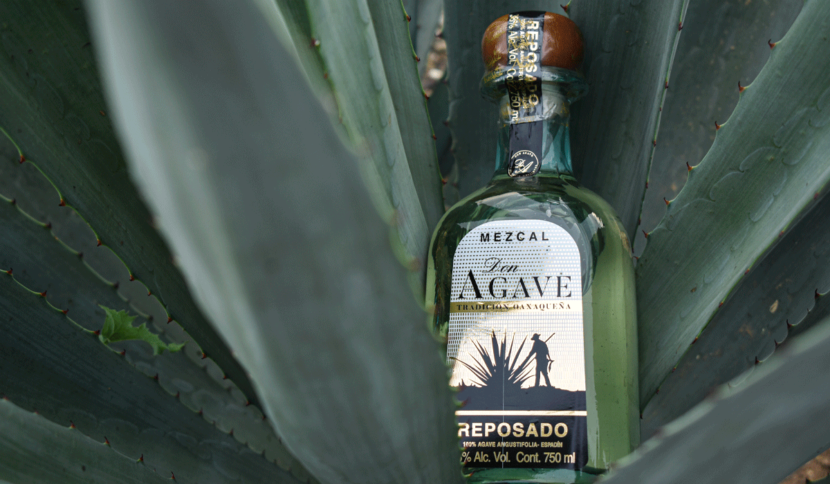 donagave-slider_0002_Capa-1